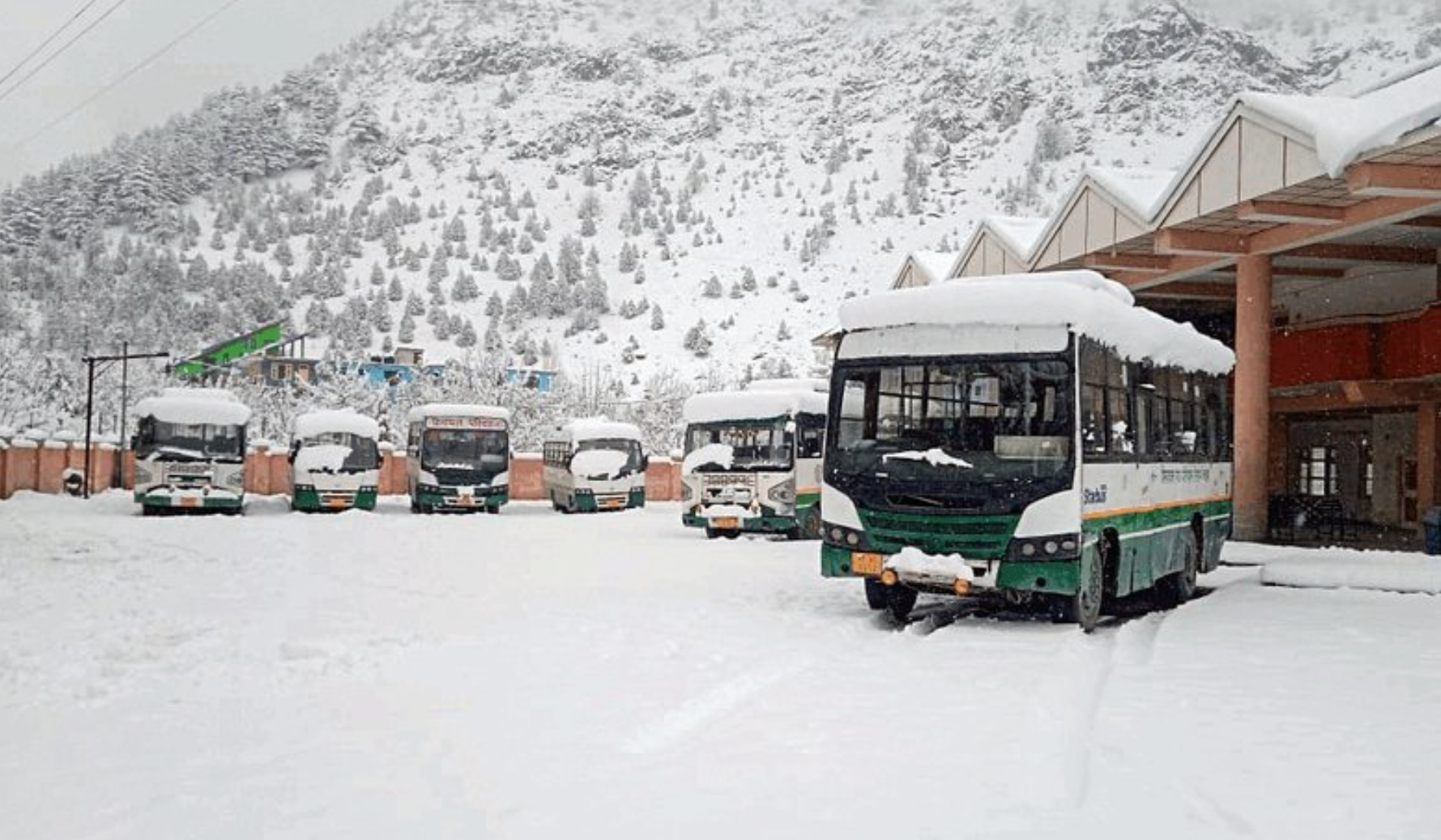 After weeks, Jammu and Kashmir, Uttarakhand, Ladakh, and Himachal Pradesh have finally experienced snowfall this winter.